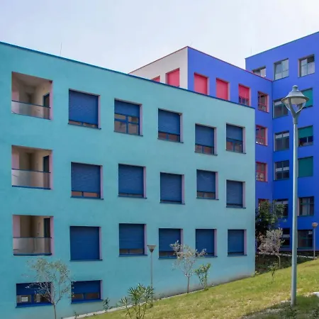 In * Tirana